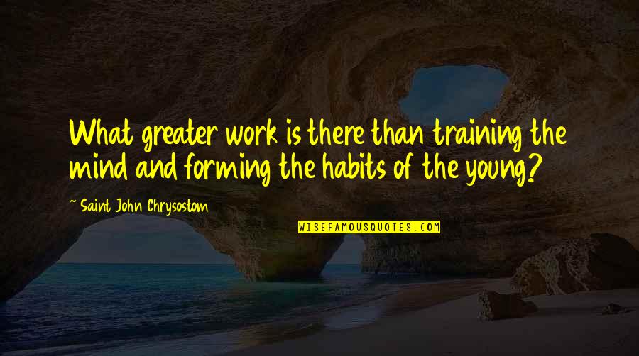 Habits Of Mind Quotes By Saint John Chrysostom: What greater work is there than training the