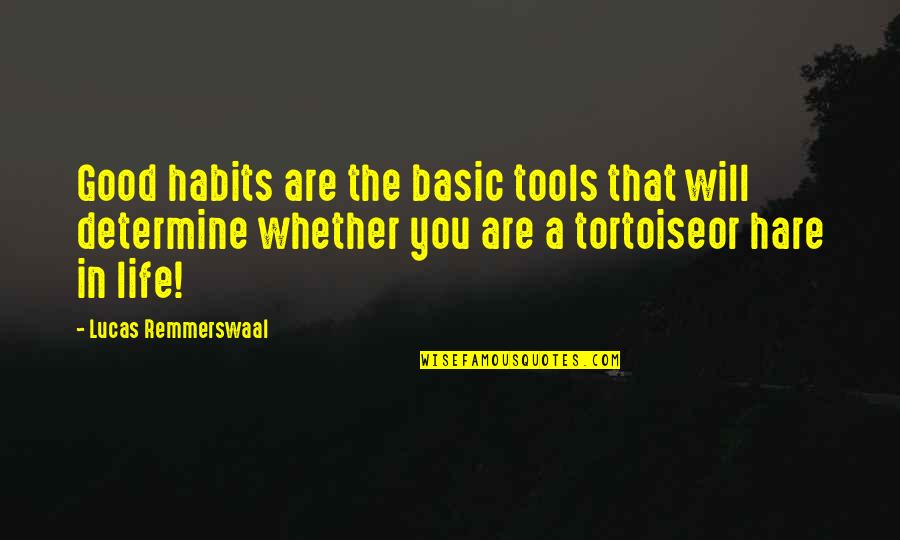 Habits Of Success Quotes By Lucas Remmerswaal: Good habits are the basic tools that will