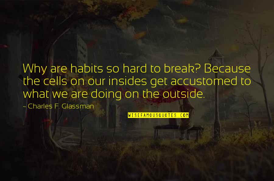 Habits Quotes By Charles F. Glassman: Why are habits so hard to break? Because