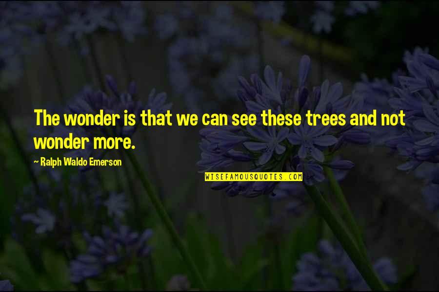 Habla Quotes By Ralph Waldo Emerson: The wonder is that we can see these