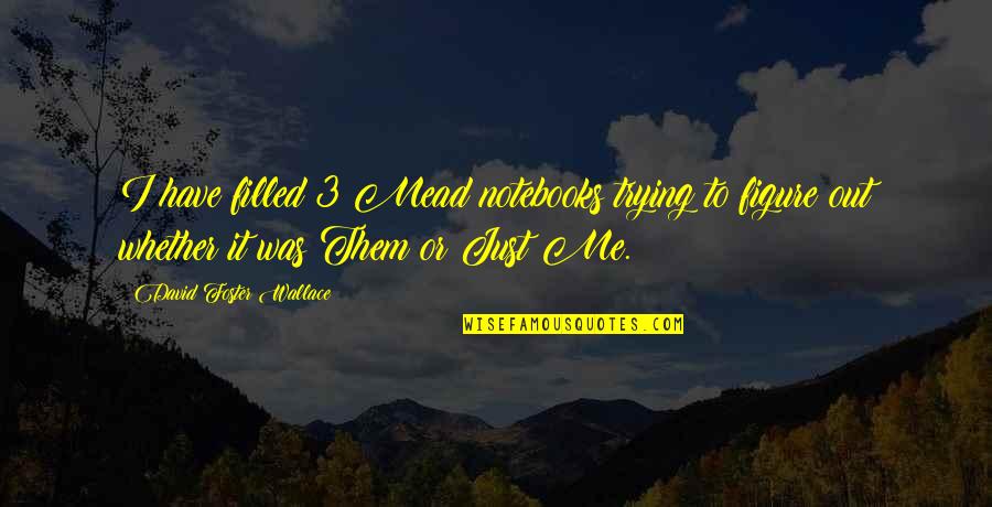 Habtekercs Quotes By David Foster Wallace: I have filled 3 Mead notebooks trying to Habtekercs Quotes By David Foster Wallace: I have filled 3 Mead notebooks trying to