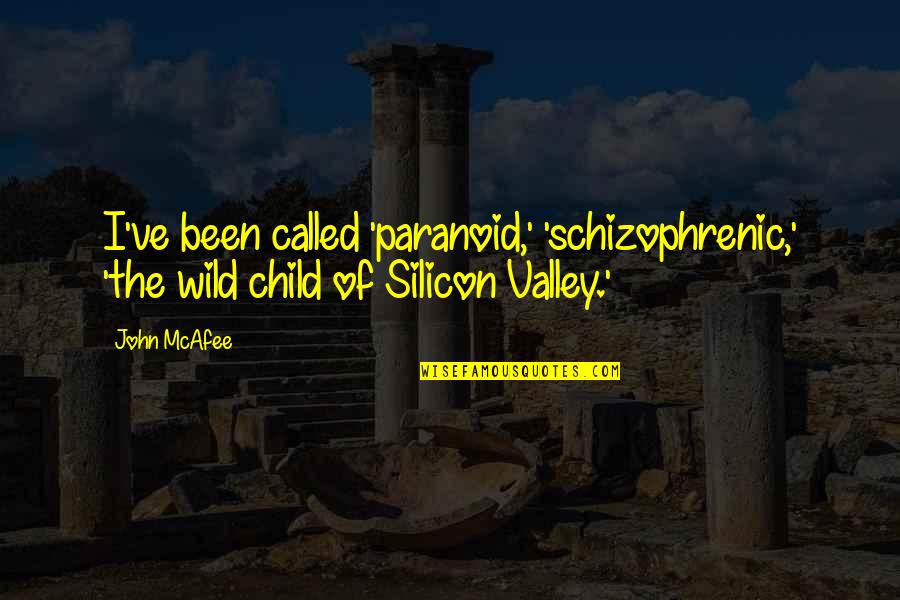 Hacemos Quotes By John McAfee: I've been called 'paranoid,' 'schizophrenic,' 'the wild child