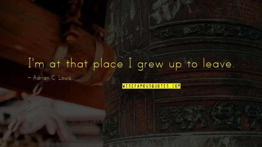 Hacerse Cargo Quotes By Adrian C. Louis: I'm at that place I grew up to Hacerse Cargo Quotes By Adrian C. Louis: I'm at that place I grew up to