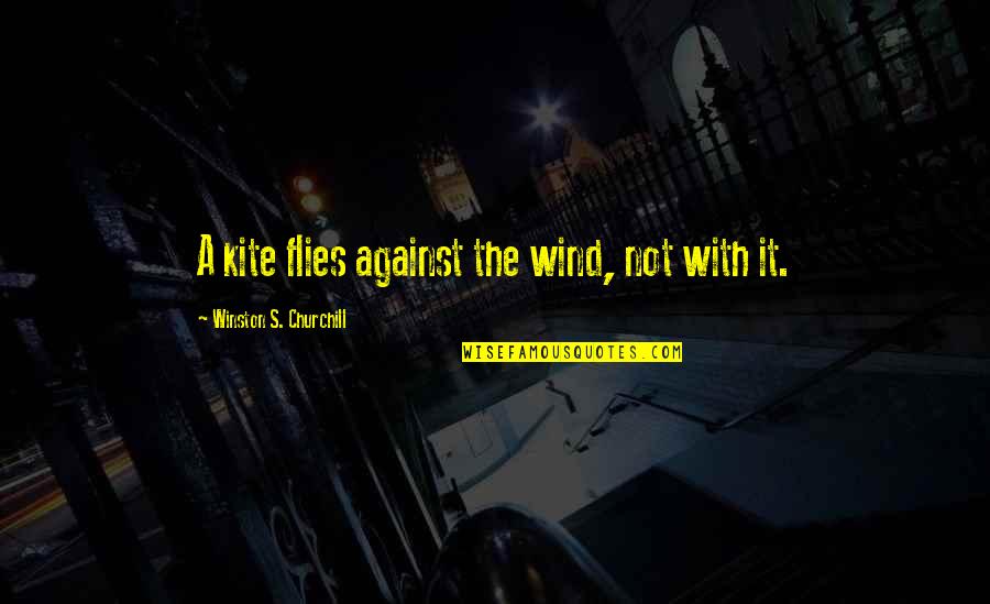 .hack Kite Quotes By Winston S. Churchill: A kite flies against the wind, not with