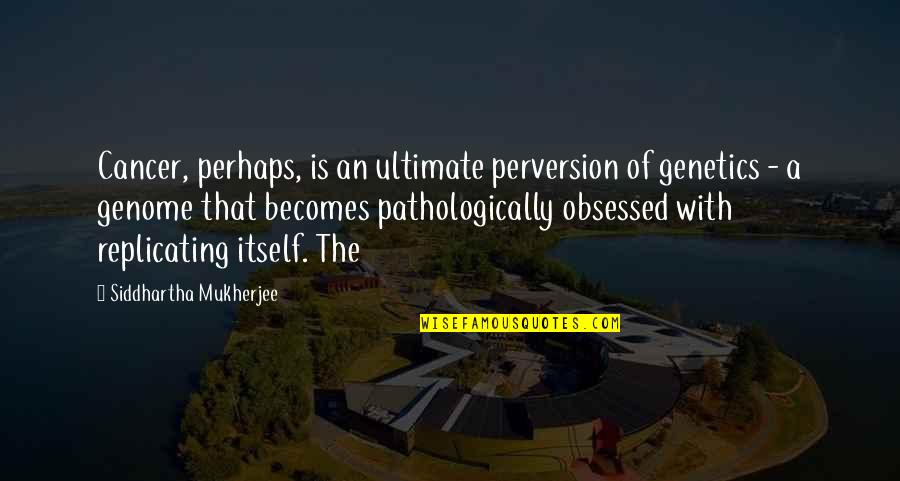 Hackable Switch Quotes By Siddhartha Mukherjee: Cancer, perhaps, is an ultimate perversion of genetics Hackable Switch Quotes By Siddhartha Mukherjee: Cancer, perhaps, is an ultimate perversion of genetics