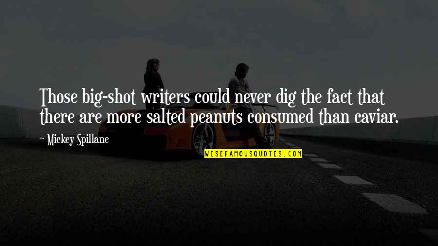 Hackery Video Quotes By Mickey Spillane: Those big-shot writers could never dig the fact Hackery Video Quotes By Mickey Spillane: Those big-shot writers could never dig the fact