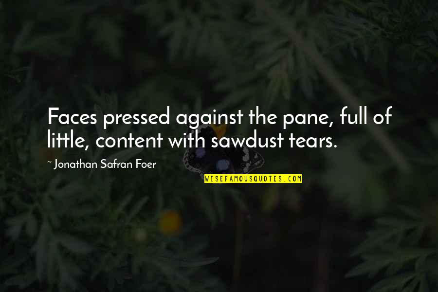 Hackled Quotes By Jonathan Safran Foer: Faces pressed against the pane, full of little,