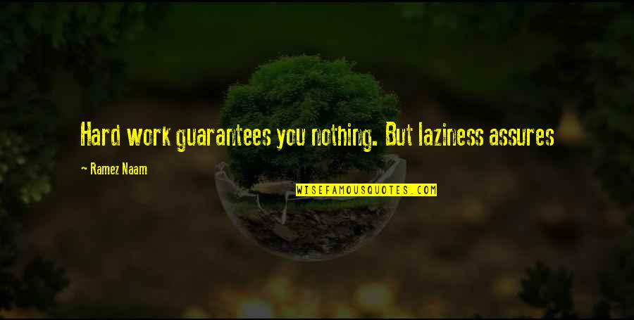 Hackneyed Crossword Quotes By Ramez Naam: Hard work guarantees you nothing. But laziness assures