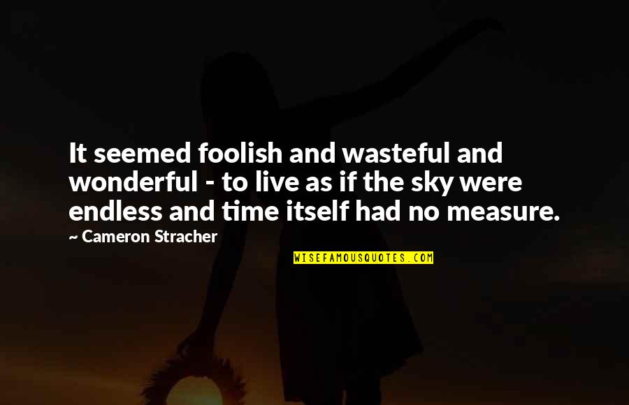Had Wonderful Time Quotes By Cameron Stracher: It seemed foolish and wasteful and wonderful -