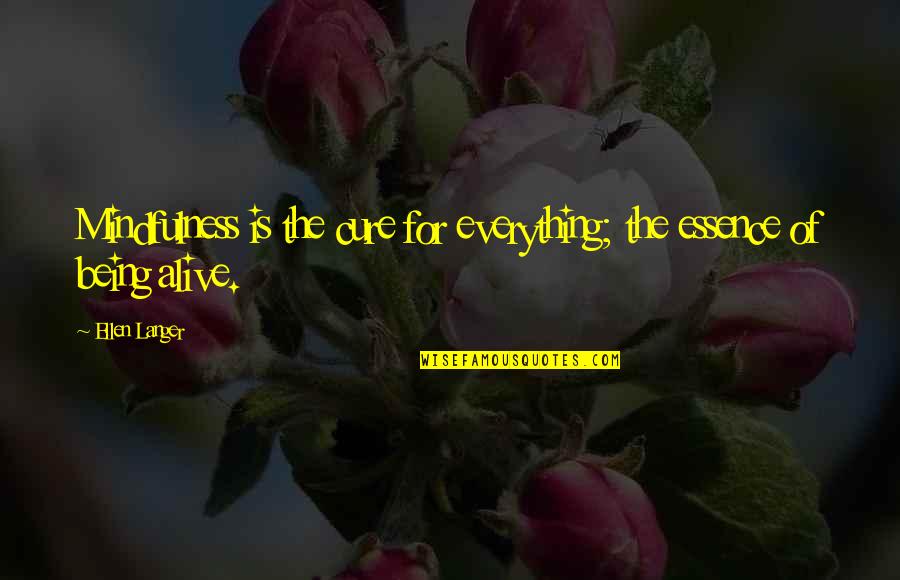 Hadas Yaron Quotes By Ellen Langer: Mindfulness is the cure for everything; the essence