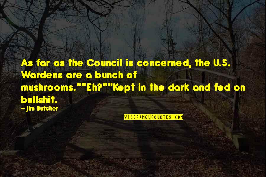 Hadas Yaron Quotes By Jim Butcher: As far as the Council is concerned, the Hadas Yaron Quotes By Jim Butcher: As far as the Council is concerned, the