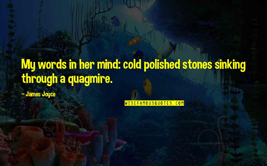 Haddeland Kari Quotes By James Joyce: My words in her mind: cold polished stones