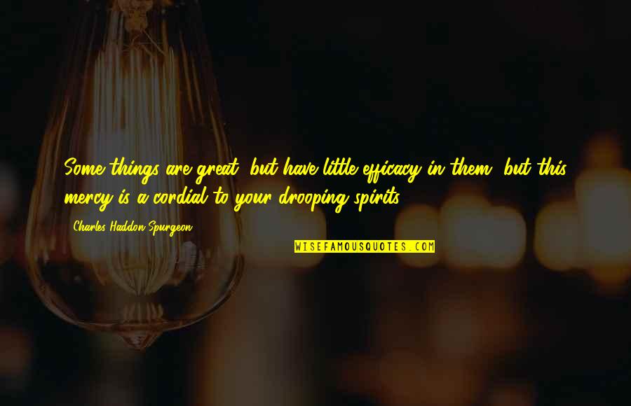 Haddon Quotes By Charles Haddon Spurgeon: Some things are great, but have little efficacy