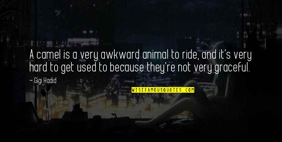 Hadid Quotes By Gigi Hadid: A camel is a very awkward animal to