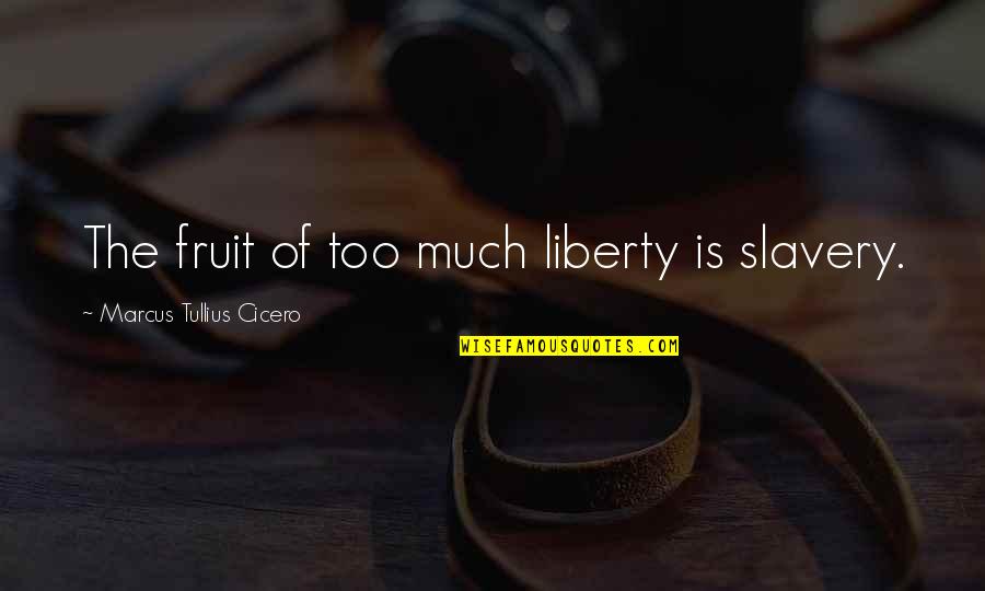 Hadidjah Quotes By Marcus Tullius Cicero: The fruit of too much liberty is slavery.