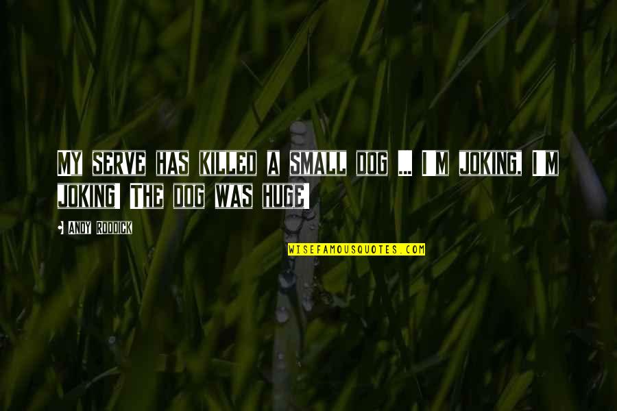 Hadits Quotes By Andy Roddick: My serve has killed a small dog ...