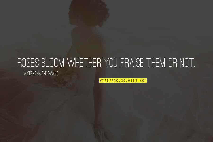 Hadji Quotes By Matshona Dhliwayo: Roses bloom whether you praise them or not. Hadji Quotes By Matshona Dhliwayo: Roses bloom whether you praise them or not.