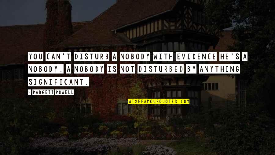 Haenschenklein Quotes By Padgett Powell: You can't disturb a nobody with evidence he's Haenschenklein Quotes By Padgett Powell: You can't disturb a nobody with evidence he's