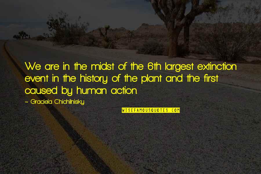 Haffey And Company Quotes By Graciela Chichilnisky: We are in the midst of the 6th