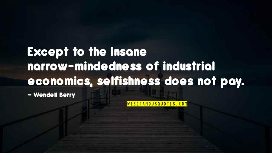 Hagelin Carl Quotes By Wendell Berry: Except to the insane narrow-mindedness of industrial economics,
