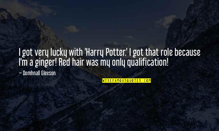 Hagglers Flea Quotes By Domhnall Gleeson: I got very lucky with 'Harry Potter.' I