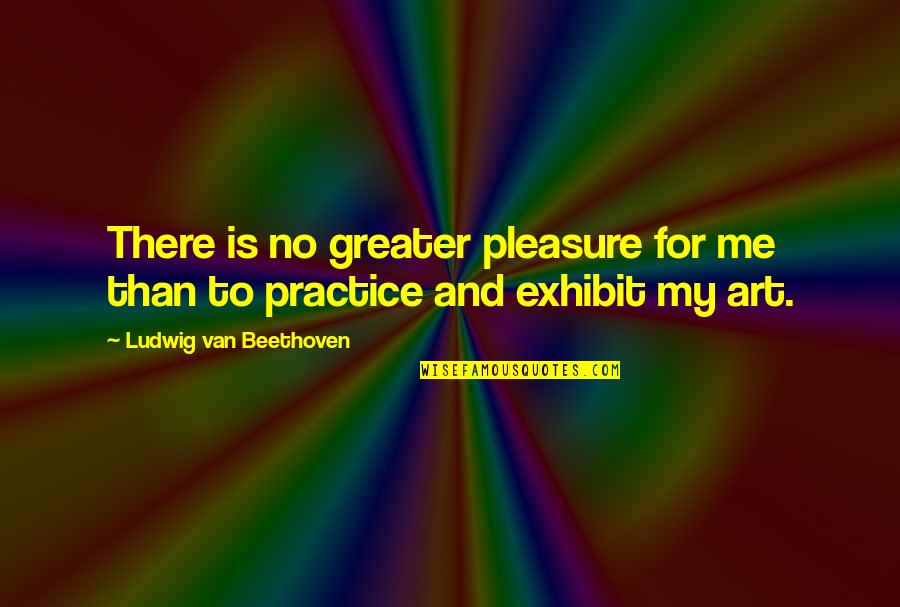 Hagin Quotes By Ludwig Van Beethoven: There is no greater pleasure for me than