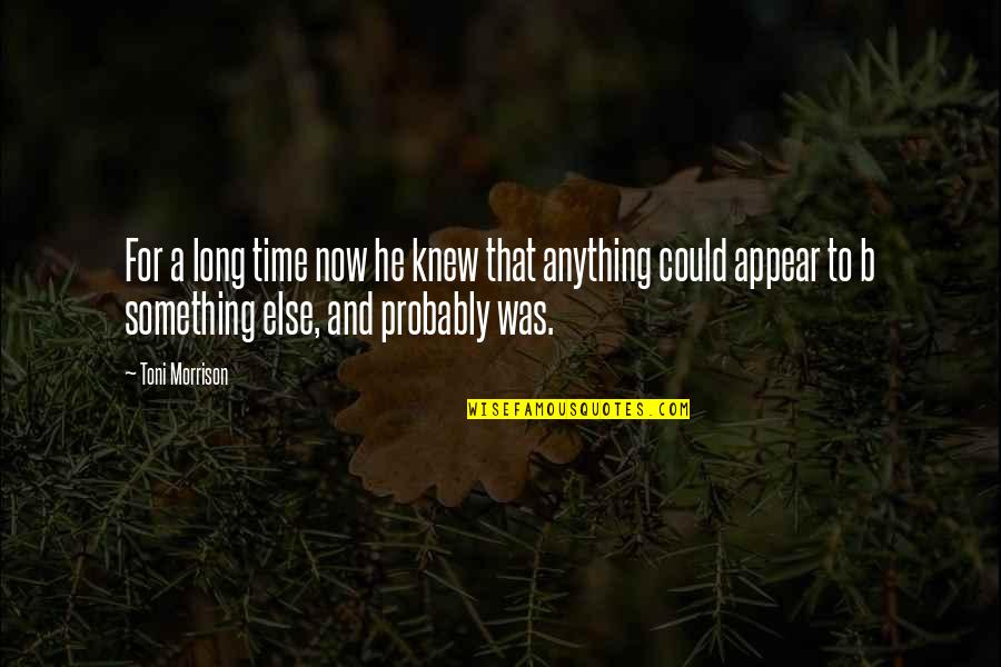 Hagrid Norbert Quotes By Toni Morrison: For a long time now he knew that