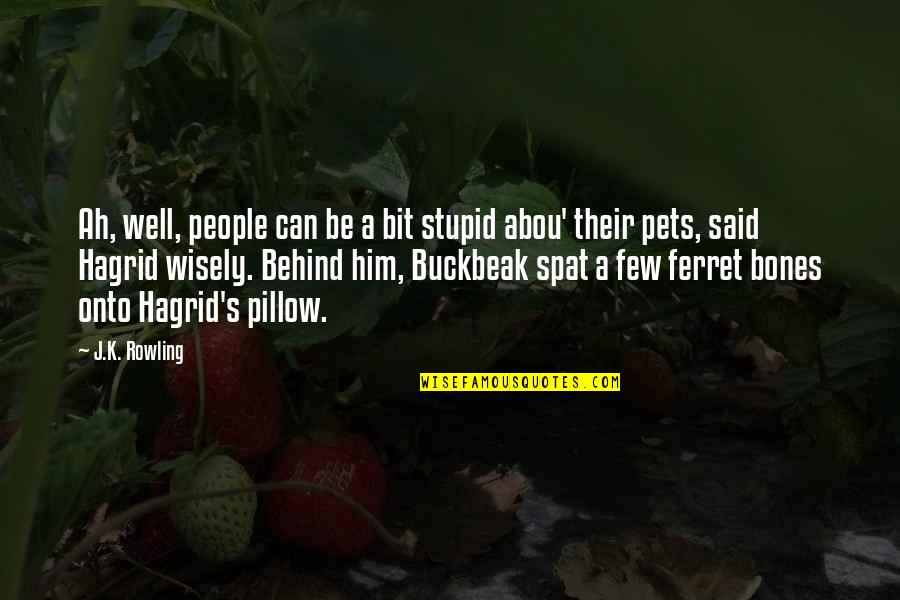 Hagrid Quotes By J.K. Rowling: Ah, well, people can be a bit stupid