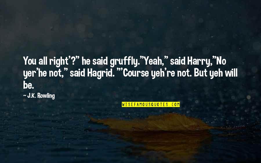 Hagrid To Harry Quotes By J.K. Rowling: You all right'?" he said gruffly."Yeah," said Harry,"No
