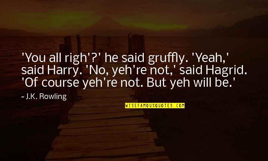 Hagrid To Harry Quotes By J.K. Rowling: 'You all righ'?' he said gruffly. 'Yeah,' said