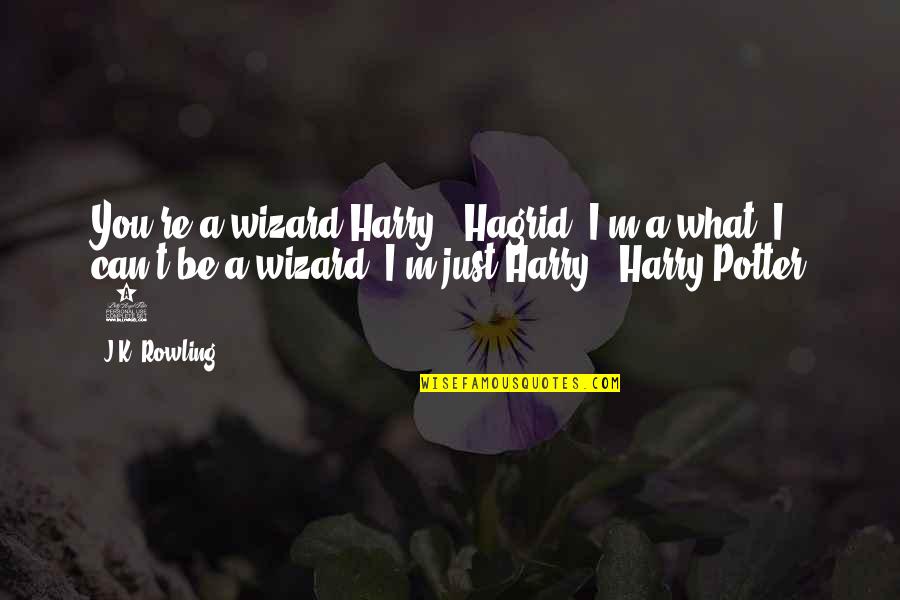 Hagrid To Harry Quotes By J.K. Rowling: You're a wizard Harry." Hagrid "I'm a what?