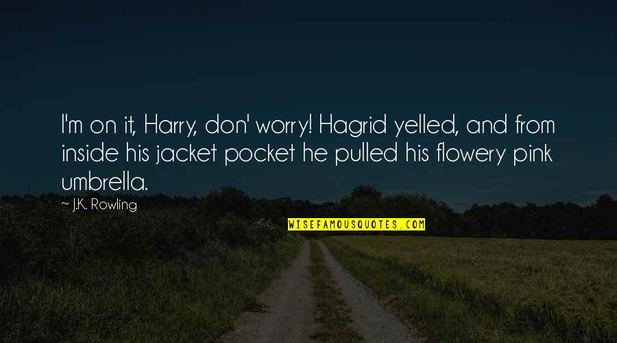 Hagrid To Harry Quotes By J.K. Rowling: I'm on it, Harry, don' worry! Hagrid yelled,