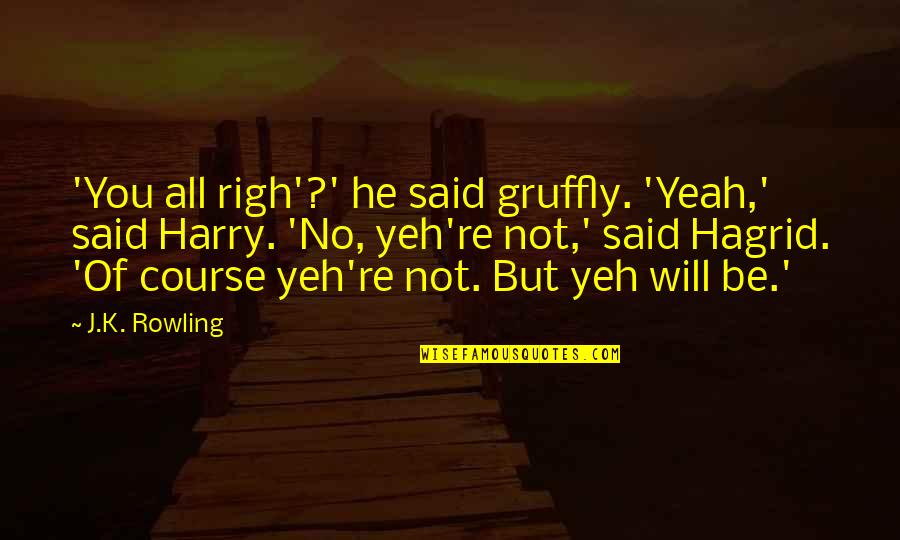 Hagrid's Quotes By J.K. Rowling: 'You all righ'?' he said gruffly. 'Yeah,' said