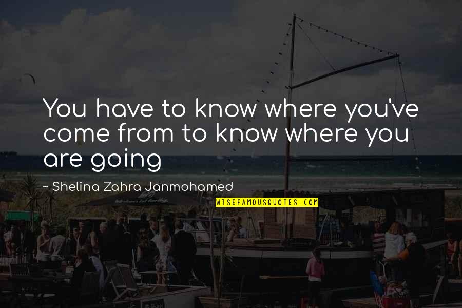 Haidari Trading Quotes By Shelina Zahra Janmohamed: You have to know where you've come from