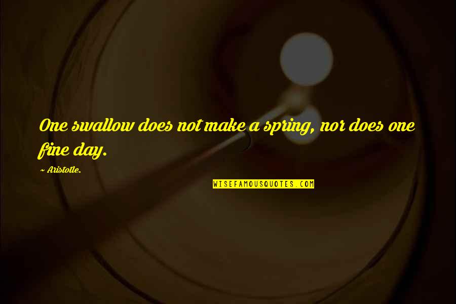 Haidinyak Quotes By Aristotle.: One swallow does not make a spring, nor
