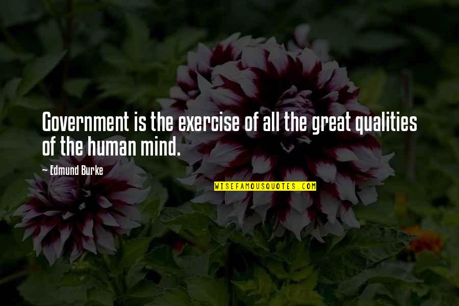 Haig Point Quotes By Edmund Burke: Government is the exercise of all the great