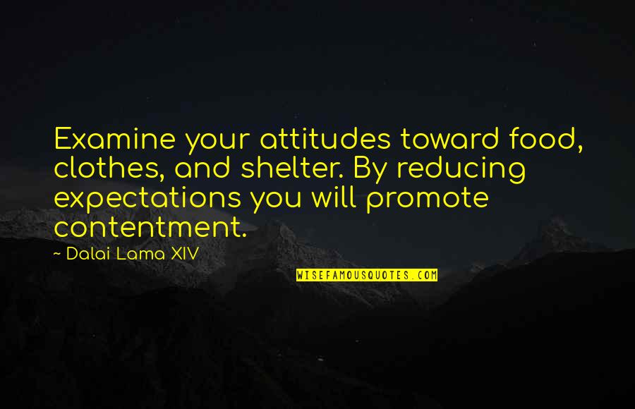 Hail Caesar We Who Are About To Die Quotes By Dalai Lama XIV: Examine your attitudes toward food, clothes, and shelter.