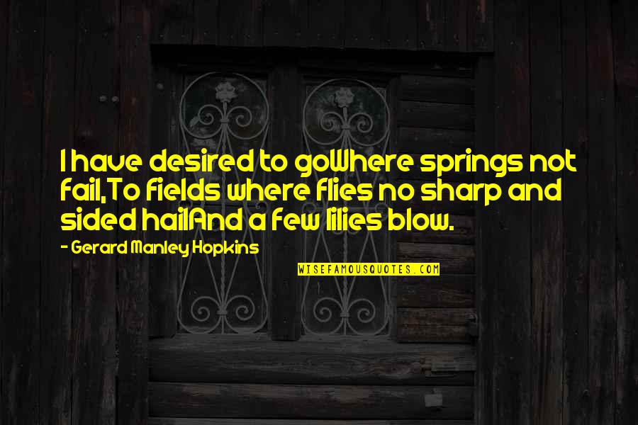 Hail Quotes By Gerard Manley Hopkins: I have desired to goWhere springs not fail,To