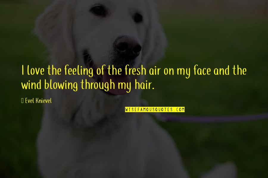 Hair In The Wind Quotes By Evel Knievel: I love the feeling of the fresh air