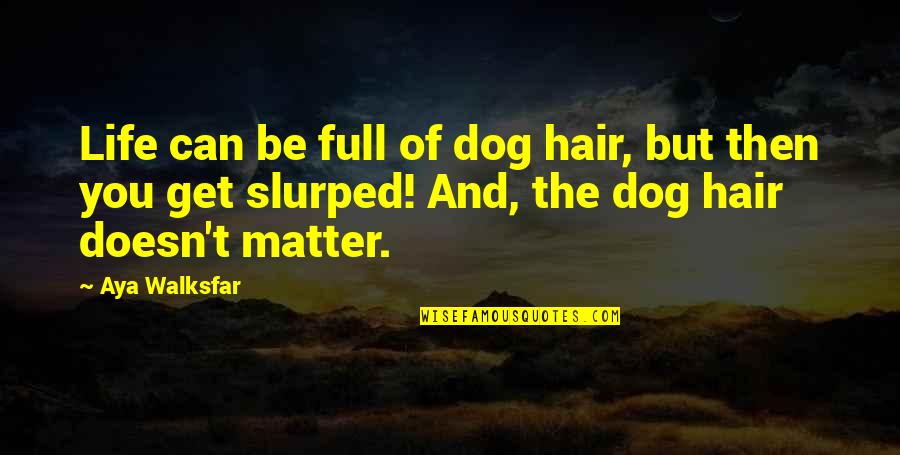 Hair Of The Dog Quotes By Aya Walksfar: Life can be full of dog hair, but