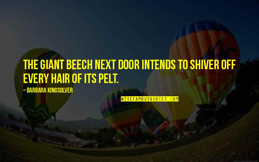 Hair Off Quotes By Barbara Kingsolver: The giant beech next door intends to shiver