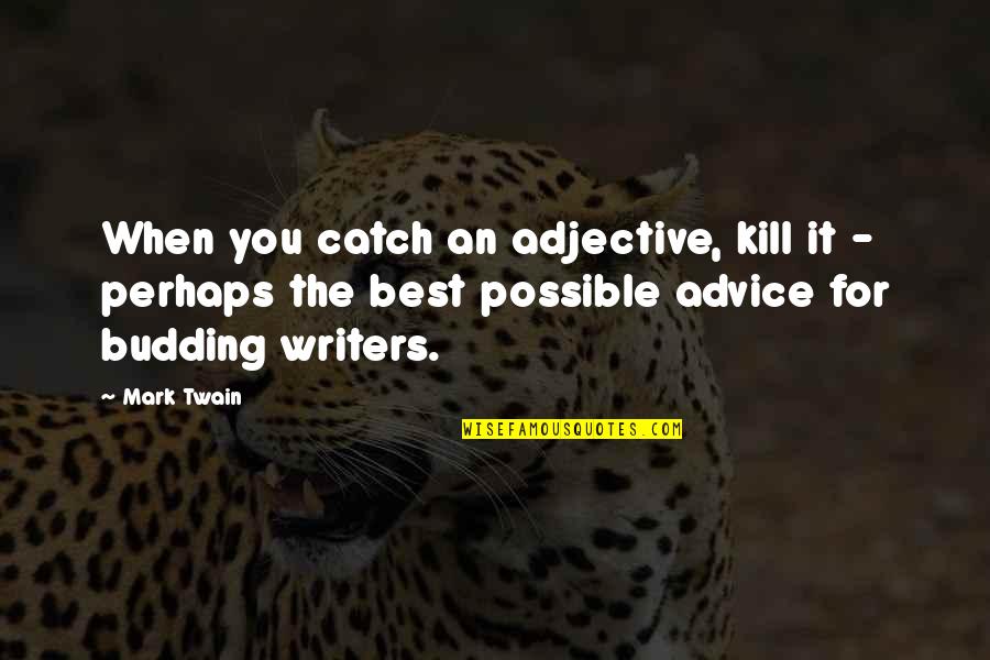 Hairball Margaret Atwood Quotes By Mark Twain: When you catch an adjective, kill it -