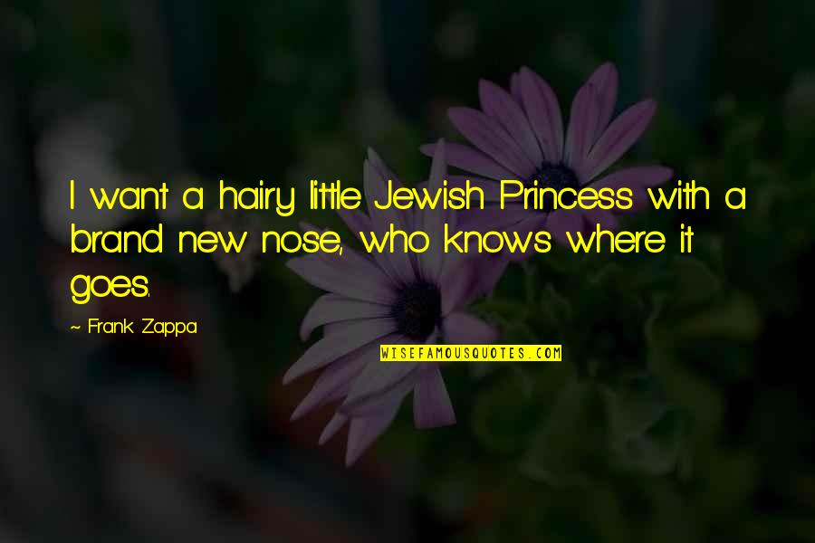 Hairy Quotes By Frank Zappa: I want a hairy little Jewish Princess with