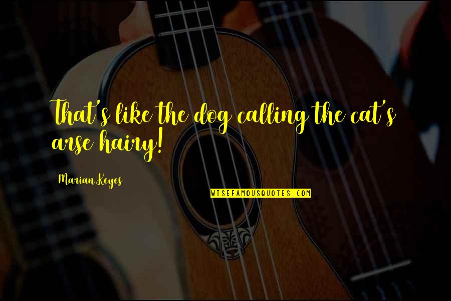 Hairy Quotes By Marian Keyes: That's like the dog calling the cat's arse