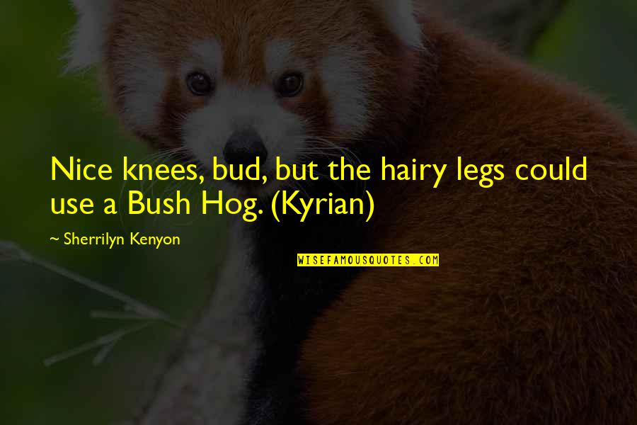 Hairy Quotes By Sherrilyn Kenyon: Nice knees, bud, but the hairy legs could