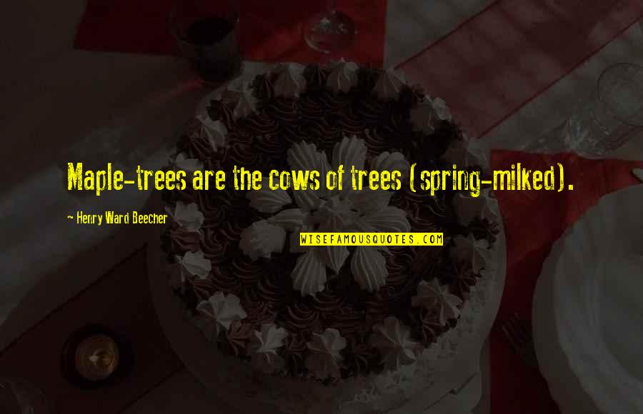 Haiti Mission Quotes By Henry Ward Beecher: Maple-trees are the cows of trees (spring-milked).