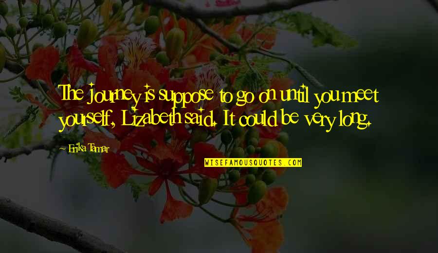Haiyan Art Quotes By Erika Tamar: The journey is suppose to go on until Haiyan Art Quotes By Erika Tamar: The journey is suppose to go on until