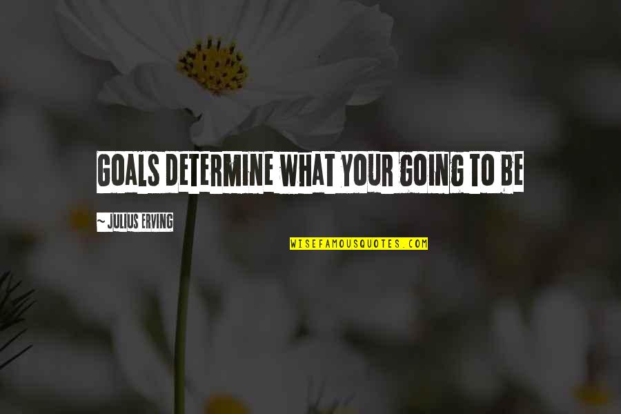 Haji Lane Quotes By Julius Erving: Goals determine what your going to be