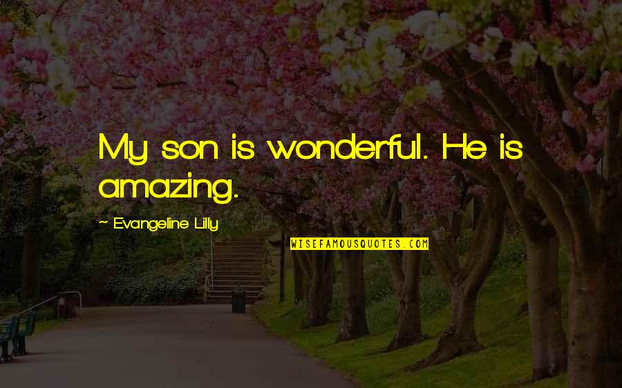 Hajr E Aswad Quotes By Evangeline Lilly: My son is wonderful. He is amazing.