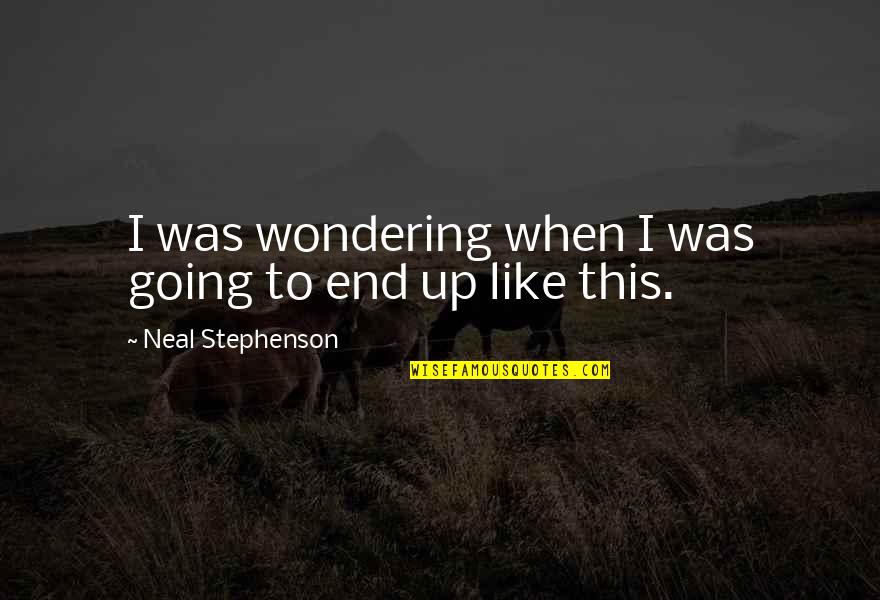 Hakamada Yoshihiko Quotes By Neal Stephenson: I was wondering when I was going to